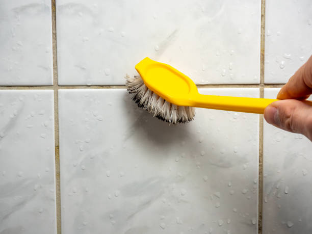 Best Black Mold Removal  in Jupiter, FL